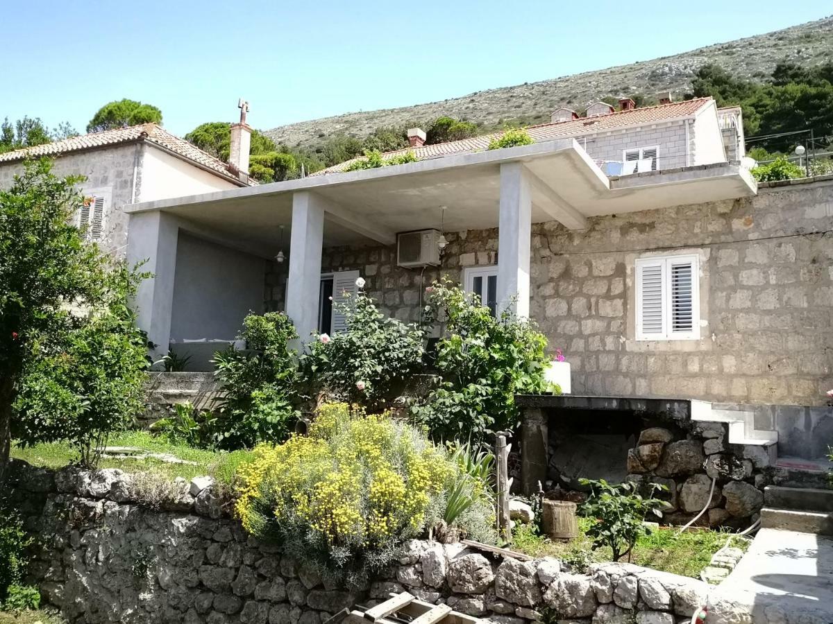 Apartman Nikola دوبروفينك المظهر الخارجي الصورة
