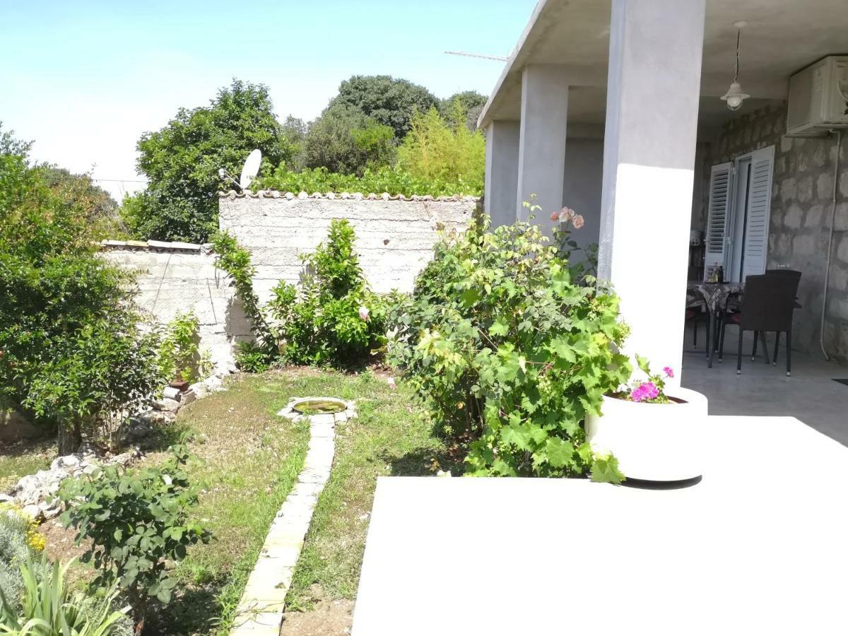 Apartman Nikola دوبروفينك المظهر الخارجي الصورة